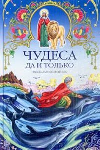 Das Weltbild der modernen Naturwissenschaft nach den Ergebnissen der neuesten Forschungen