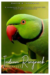Indian Ringneck Parakeet