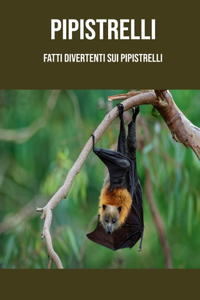 Pipistrelli: Fatti divertenti sui Pipistrelli