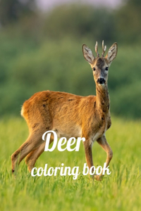 Deer coloring book