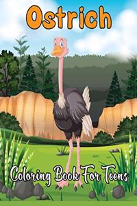 Ostrich Coloring Book for Teens
