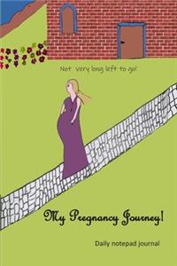 My pregnancy Journey! I am happy we are having anew baby!