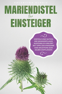 Mariendistel für Einsteiger