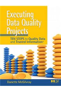 Executing Data Quality Projects