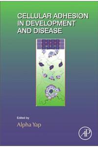 Cellular Adhesion in Development and Disease: Volume 112