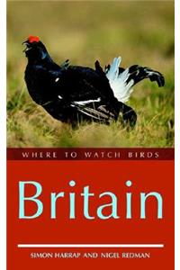 Where to Watch Birds in Britain