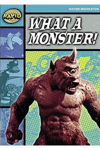 Rapid Stage 3 Set B Reader Pack: What A Monster! (Series 1)