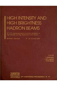High Intensity and High Brightness Hadron Beams