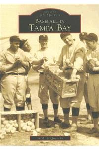 Baseball in Tampa Bay