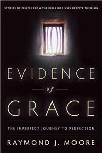 Evidence of Grace: The Imperfect Journey to Perfection