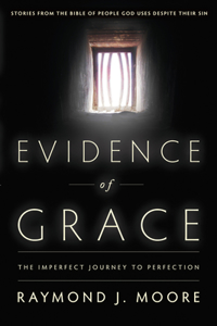 Evidence of Grace: The Imperfect Journey to Perfection