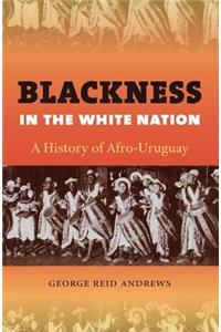 Blackness in the White Nation