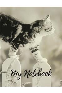 My Notebook