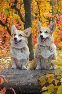 Two Corgi Dogs in an Autumn Wood Journal