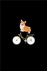 Corgi on bike