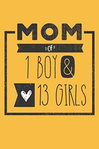 MOM of 1 BOY & 13 GIRLS