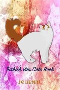 Turkish Van Cats Rock
