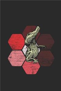 Crocodile Hexagon