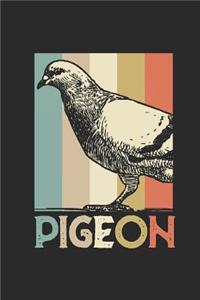 Pigeon Retro