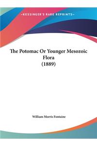 The Potomac or Younger Mesozoic Flora (1889)