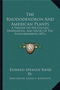Rhododendron and American Plants