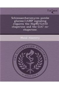 Schizosaccharomyces Pombe Glucose/Camp Signaling Requires the Hsp90/Git10 Chaperone and the Git7 Co-Chaperone
