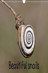 Beautiful Snails 2017