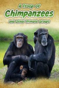 A Troop of Chimpanzees