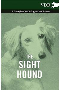 Sight Hound - A Complete Anthology of the Breeds