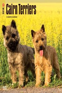 2018 Cairn Terriers Wall Calendar