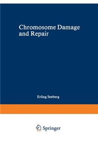 Chromosome Damage and Repair