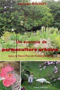 Un exemple de permaculture urbaine dans le Nord-Pas-de-Calais-Picardie