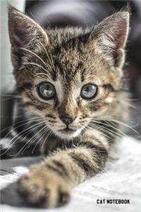 Cat Notebook