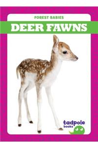 Deer Fawns