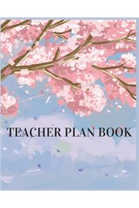 Teacher Plan Book