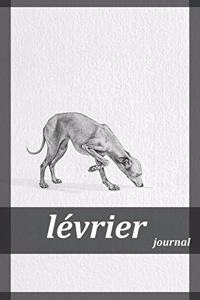 lévrier journal