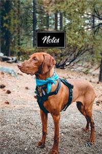 Vizsla Dog Pup Puppy Doggie Notebook Bullet Journal Diary Composition Book Notepad - Blue Bandana