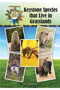 Keystone Species That Live in Grasslands