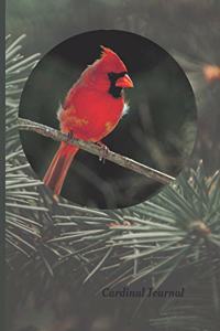 Cardinal Journal