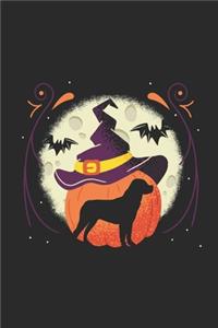 Halloween Rottweiler