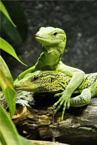 Tree Monitor Notebook