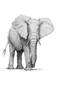 Elephant Dot Grid Journal