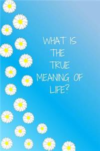 WHAT IS THE TRUE MEANING OF LIFE? Journal