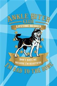 Ankle Biter Club Lifetime Member: Don't Hate Me Because I'm Beautiful, I'm Bad to the Bone - Alaskan Malamute Notebook Journal Composition Book