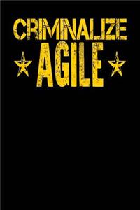 Criminalize Agile