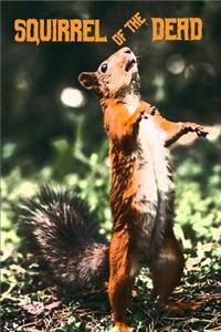 Squirrel of the Dead
