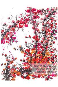 Tian Zi GE Paper Chinese Writing Practice Book