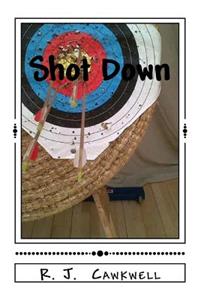 Shot Down: The First D.S. Lucie Burns Investigation