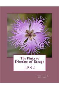 Pinks or Dianthus of Europe