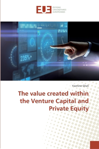value created within the Venture Capital and Private Equity